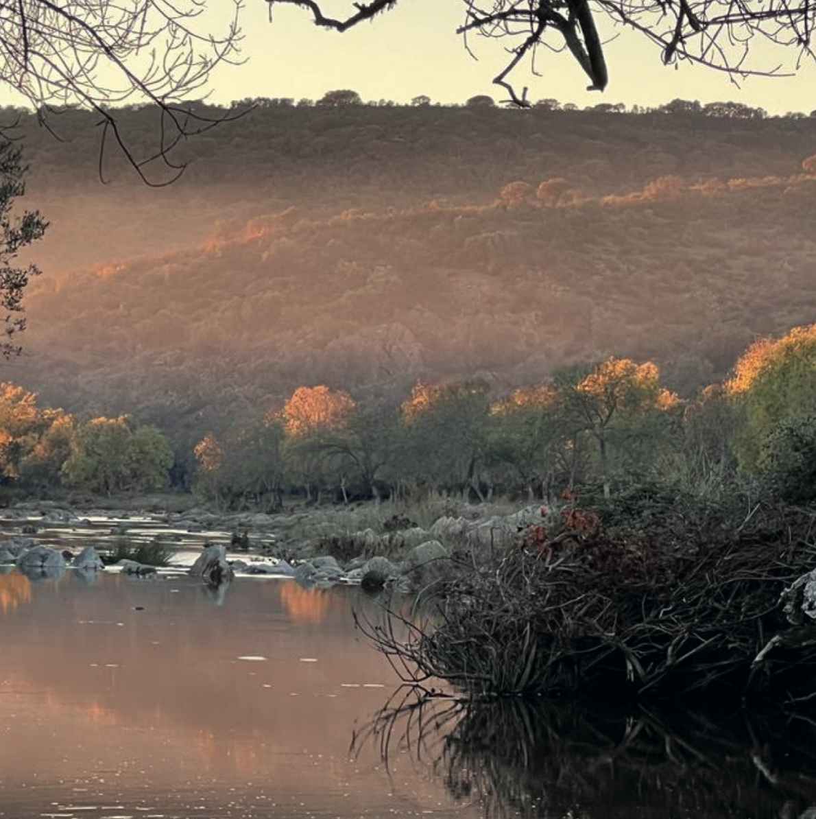 naturaleza-del-paisaje.png